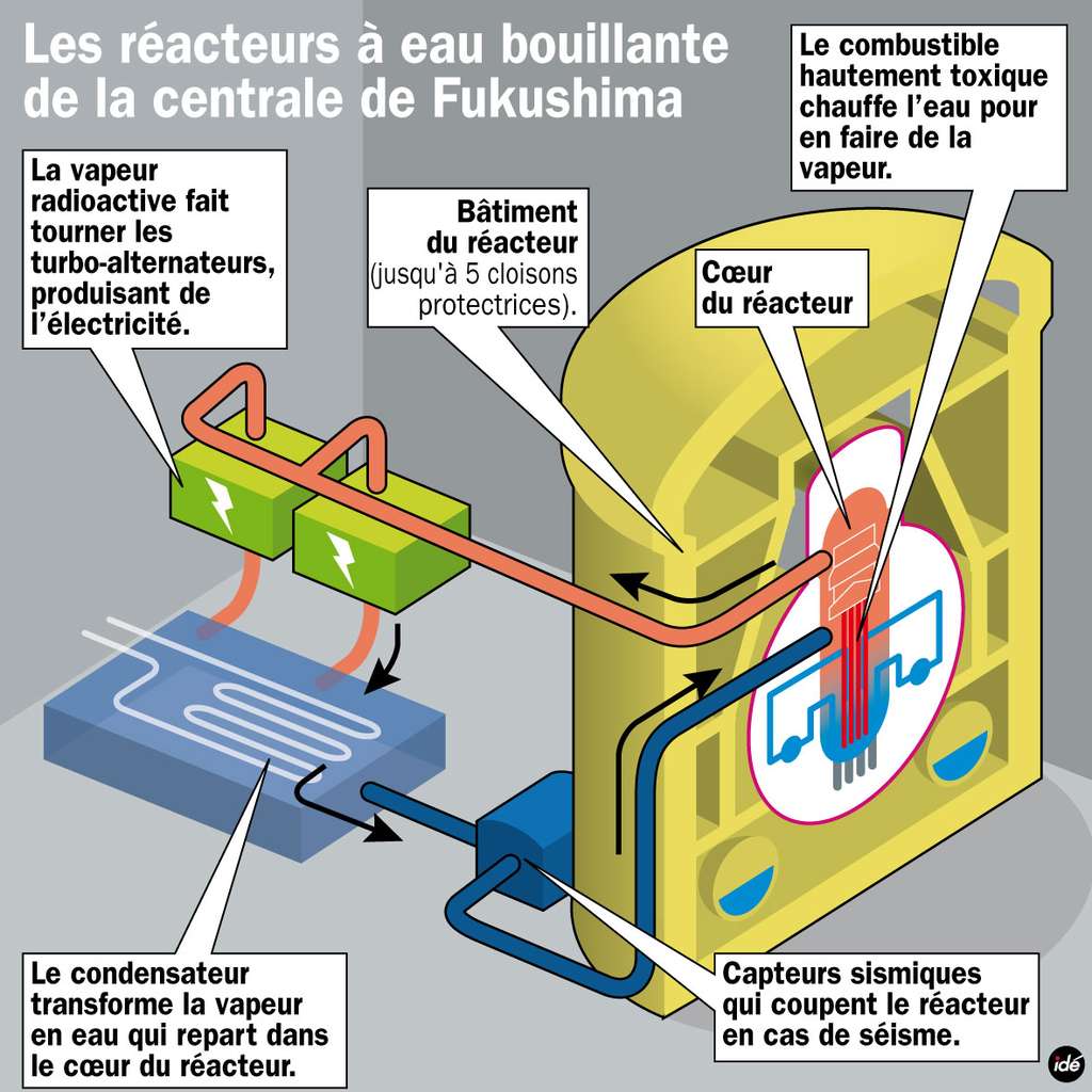 Schéma d'un réacteur nucléaire semblable à ceux de Fukushima. Il est dit à eau bouillante. L'eau de refroidissement sort du cœur du réacteur, sous forme de vapeur, et va faire tourner une turbine générant de l'électricité. Cette vapeur, condensée, retourne dans le cœur. Dans un réacteur à eau pressurisée (comme ceux utilisés en France), l'eau de refroidissement reste à l'intérieur de l'enceinte et transmet sa chaleur à un circuit secondaire dont l'eau n'est donc pas radioactive. © Idé
