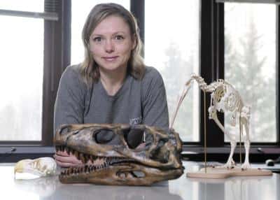 Darla Zelenitsky devant des spécimens de crânes d'oiseaux et de dinosaures analysés. © <em>Courtesy of University of Calgary</em>