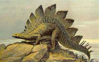 Comment le stégosaure faisait-il pour se reproduire ? <br />Un problème épineux © Domaine public