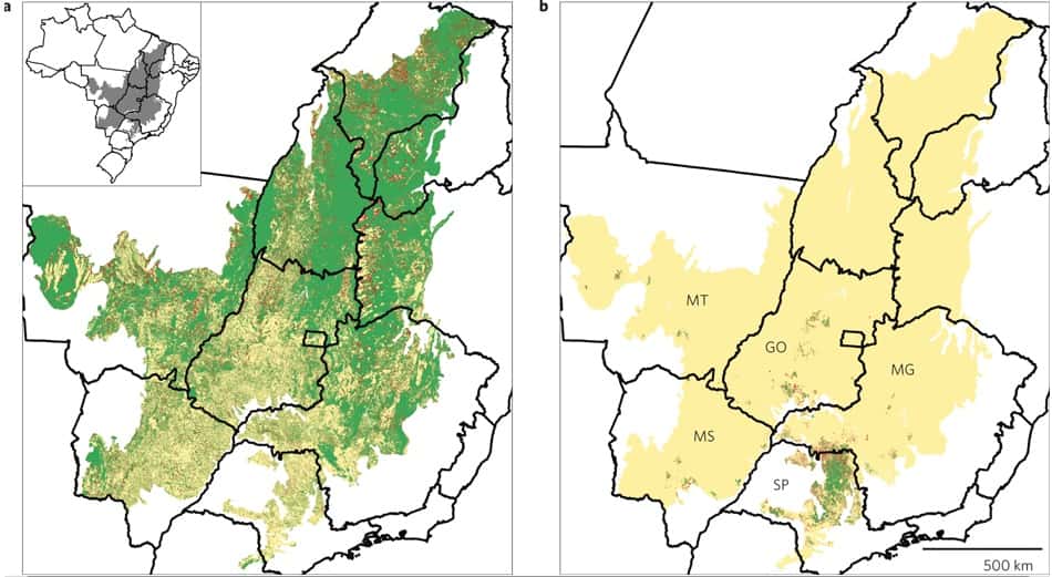 Le Cerrado brésilien (zone colorée) s'étend sur 2 millions de kilomètres carrés mais perd peu à peu son côté sauvage. a) Situation en 2008 : le vert correspond aux régions préservées et les points rouges aux zones défrichées après 2002. b) Le vert correspond aux champs de canne à sucre en 2005/2006 et les points rouges aux nouveaux champs de canne en 2008/2009. © <em>Nature Climate Change</em>