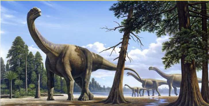 D'après les fossiles retrouvés, les scientifiques pensent que les sauropodes étaient probablement végétariens. Pourra-t-on un jour le confirmer en observant l'un d'eux en plein repas ? © Raul Martin