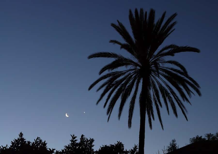 Le croissant lunaire et Vénus dans l'aube de Marrakech. © J.-B. Feldmann