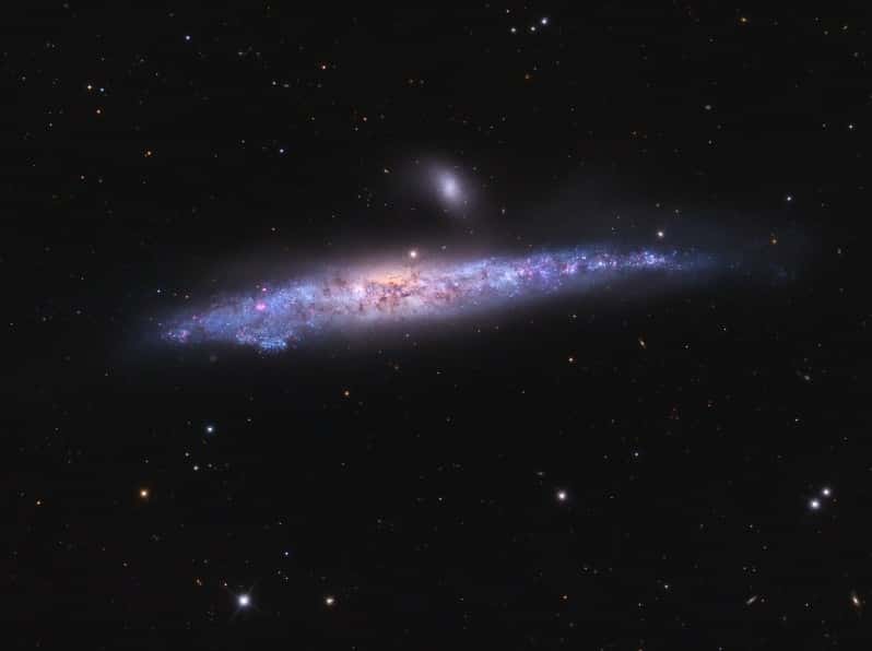  <br />Gros plan sur NGC 4631, la galaxie de la Baleine. © Adam Block/<em>Mt. Lemmon SkyCenter</em>/U. Arizona 