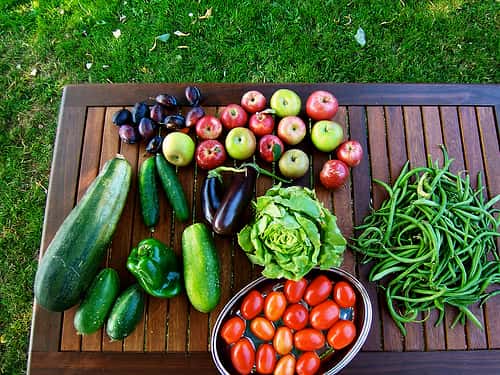 Les concombres, tomates et salades sont mis hors de cause. © Luc Legay, Flickr by-sa 2.0