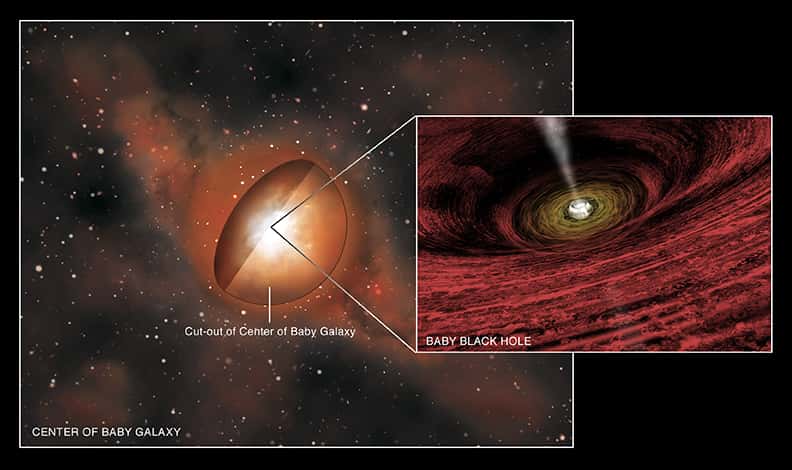 Le trou noir massif rayonne dans les domaines optique et ultraviolet mais son cocon de gaz et poussières ne laisse passer que des rayons X. L'artiste a aussi représenté sur la droite le disque d'accrétion du trou noir ainsi que ses jets de matière. © Nasa/CXC/M.Weiss