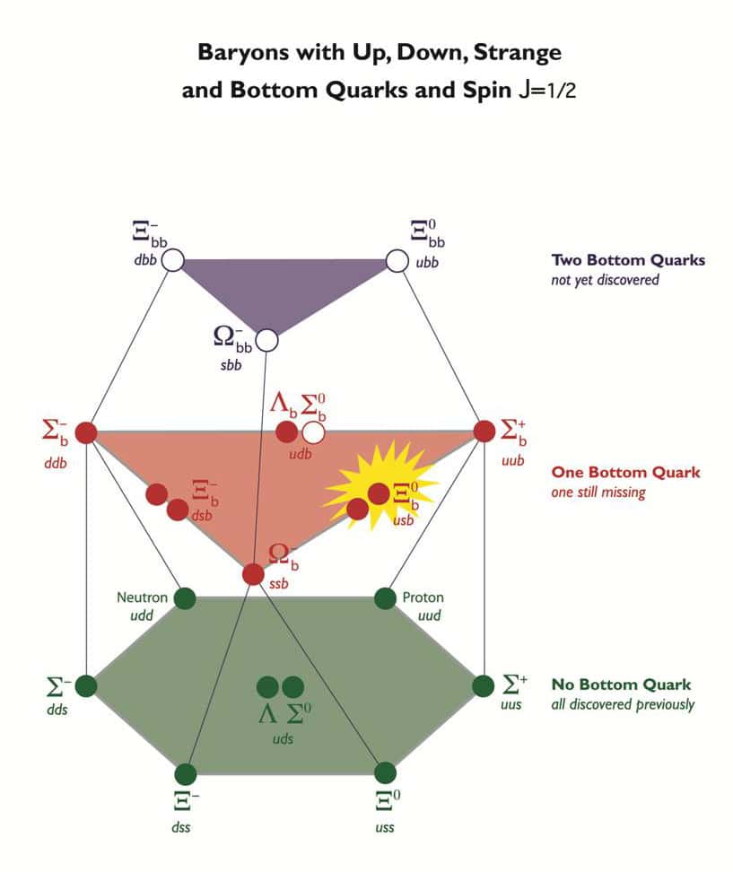 Un schéma montrant des combinaisons à trois quarks. Les baryons avec deux quarks b (dans la partie violette) manquent toujours à l'appel. Le Xi neutre avec quarks u, s et b a finalement été détecté. Tous les baryons laissés en cercles blancs sont ceux qui n'ont pas été découverts. © Fermilab