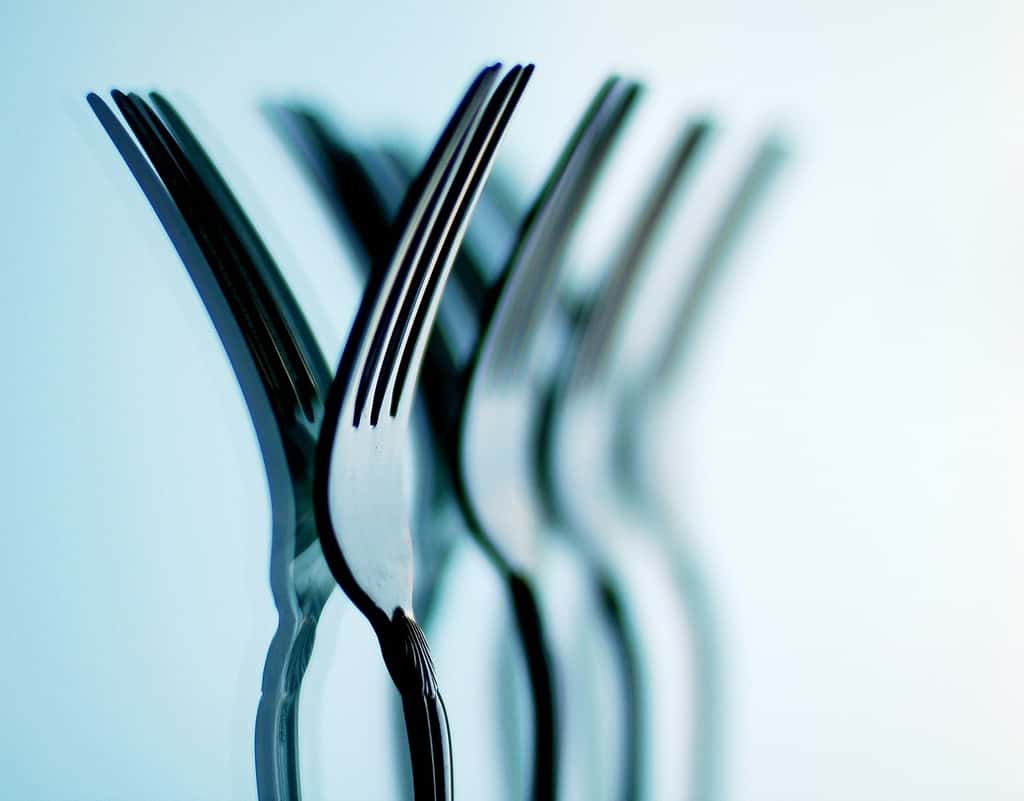 La monotonie des repas entraîne spontanément une réduction des portions, et donc du nombre de calories ingérées. © bitzcelt, Flickr CC by nc-nd 3.0