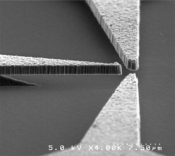 Une vue au microscope électronique à balayage d'une partie d'un transistor en nanodiamant déposé sur un substrat isolant en dioxyde de silicium. © Davidson Lab