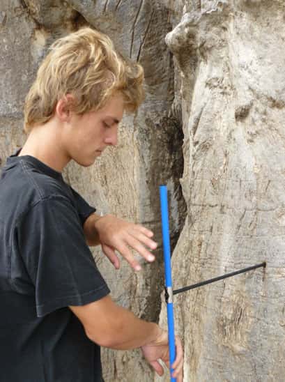 Un échantillonnage à l'aide d'une tarière dans le tronc du baobab sacré de Warang. © Sébastien Garnaud