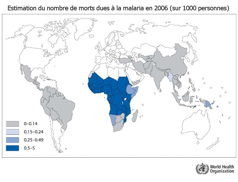 Nombre de morts à cause de la malaria en 2006, sur des populations de 1.000 personnes. © Organisation mondiale de la santé, 2009