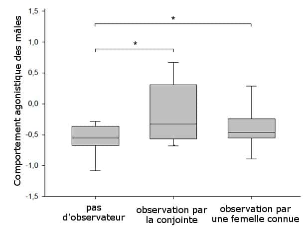 Les mâles canaris ont un comportement plus agressif quand une femelle les observe (l'axe des ordonnées est un indice qui prend en compte différents comportements d'agressivité). © Ung <em>et al</em>., 2011 - adaptation Futura-Sciences
