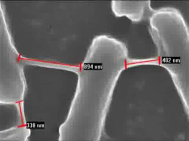 Les nanotubes biologiques qui relient les bactéries entre elles, vues ici en microscopie électronique, sont des structures de quelques centaines de nanomètres. © Sigal Ben-Yehuda/<em>Cell</em>