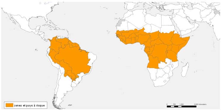 Zones et pays à risque pour la fièvre jaune, en 2008. © OMS, 2008