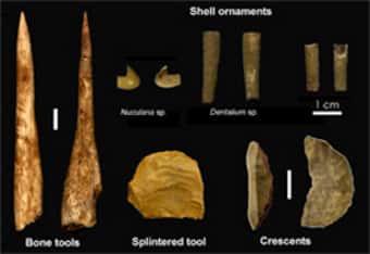 Artefacts uluzziens de la Grotta del Cavallo (Pouilles, sud de l'Italie). © Annamaria Ronchitelli et Dr. Katerina Douka