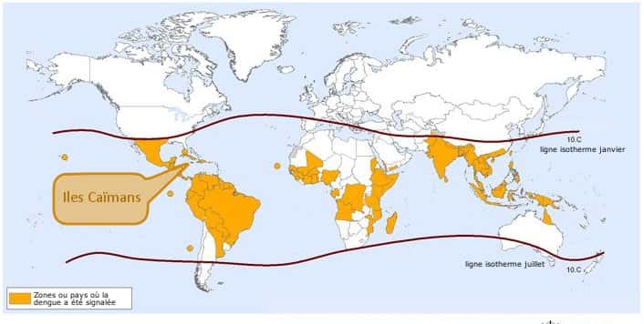 Zones à risque pour la dengue en 2010. Les lignes isothermes montrent la limite de la zone à risque au sein de laquelle <em>Aedes aegypti</em> est présent toute l'année. © Organisation mondiale de la santé, 2010