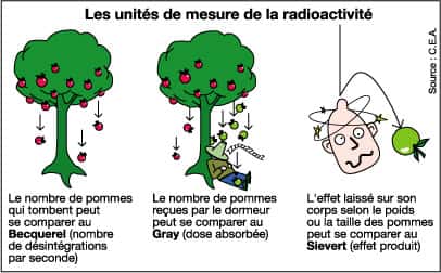 Les différentes unités permettant de mesurer la radioactivité. On mesure l'activité radionucléique en becquerels, la dose reçue en grays et l'effet produit en sieverts. © CEA