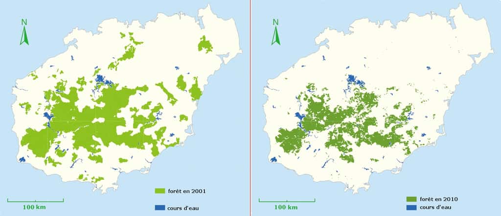 Étendue de la forêt tropicale humide sur l'île de Hainan en 2001 et en 2010. © Greenpeace Chine