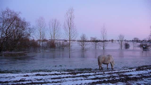 Les inondations sont toujours impressionnantes. Ici, la crue du Doubs en décembre 2010. © Dead.archer, Flickr, cc by nc nd 2.0