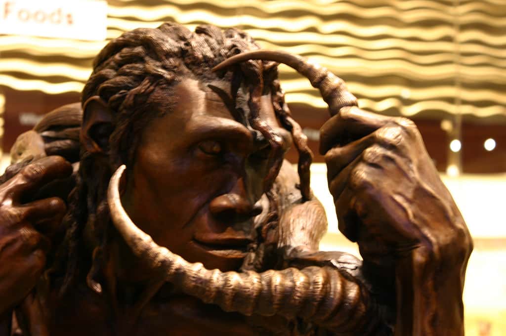 <em>Homo erectus</em>, ici représenté au <em>Smithsonian Museum</em> à Washington D.C. (États-Unis) vivait entre -1 million d'années et - 300.000 ans approximativement. Il a colonisé l'Afrique, l'Europe et l'Asie et possédait très probablement un langage. © Ryan Somma, Flickr, cc by sa 2.0
