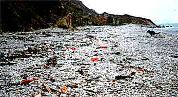Les déchets plastiques rejetés par la mer témoignent de la pollution présente sous l'eau. © http://www.aquacaux.asso.fr