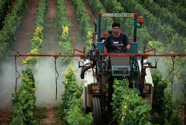 Pulvérisation de pesticides sur une vigne, dans la Nappa Valley, en Californie. © tpmartin, Flickr, cc by nc sa 2.0