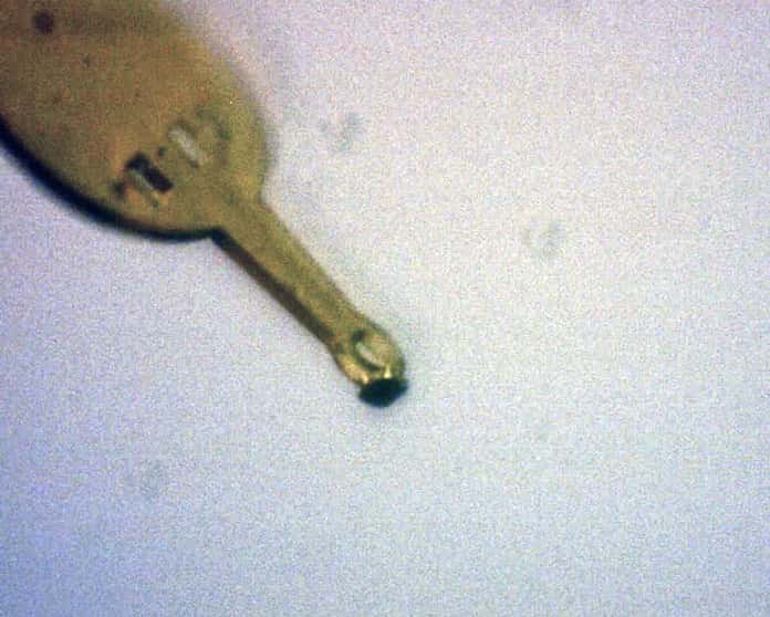 Une photo du cristal de magnétite microscopique utilisé pour l'expérience, ne mesurant que 40 micromètres de diamètre, à l'extrémité d'un porte-échantillon. © 2011 ESRF