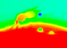 Image thermographique d'une femelle d'anophèle en train de s'alimenter sur une personne. La couleur représente la température, de bleu (plus froide) à rouge (plus chaude). La trompe et la tête du moustique restent relativement chaudes (rouge), tandis que l'abdomen est plus froid (jaune, vert). La goutte émise par l'insecte (bleue) s'évapore et perd de la chaleur en refroidissant ainsi le corps du moustique. © Chloé Lahondère, CNRS