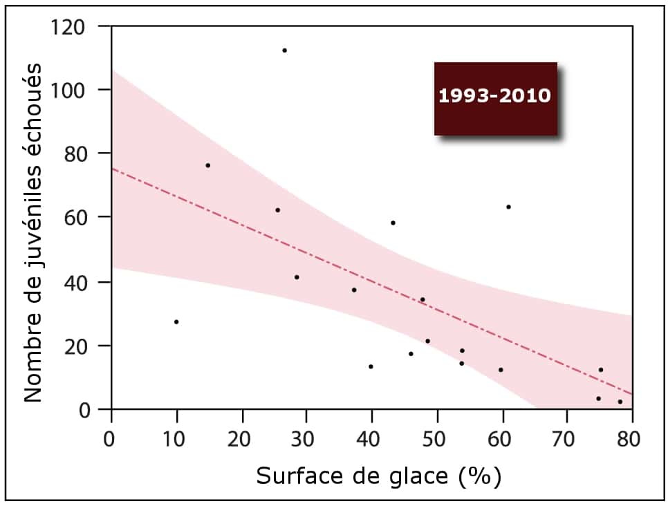 Corrélation entre le nombre de juvéniles échoués et la surface de la glace, entre 1993 et 2010. © Johnston <em>et al. </em>2012, <em>Plos One</em> - adaptation Futura-Sciences