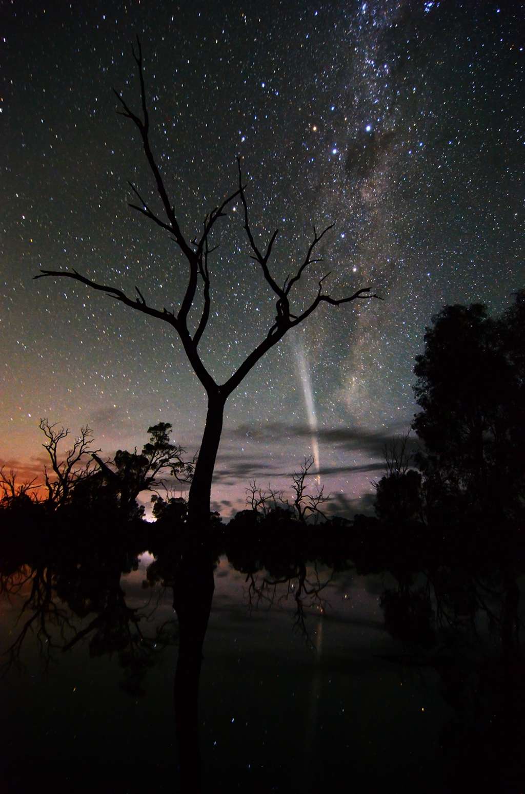 La comète Lovejoy vue depuis les marais australiens. © W. England