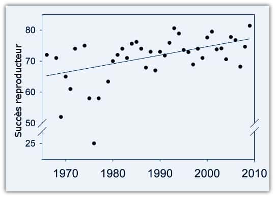 Évolution du succès reproducteur des albatros hurleurs (en % ; 100 % si l'ensemble des œufs donne des juvéniles) au cours de la période 1965-2010. © Weimerskirch <em>et al.</em> 2012, <em>Science </em>- adaptation Futura-Sciences