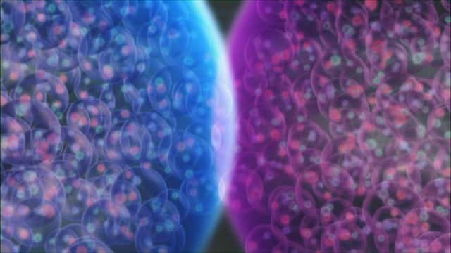 Une vue d'artiste de deux ions lourds sur le point d'entrer violemment en collision. Les nucléons des noyaux, c'est-à-dire les protons et les neutrons, sont représentés sous forme de petites bulles dans une sphère. Chaque bulle contient 3 quarks liés par des échanges de gluons. © Cern