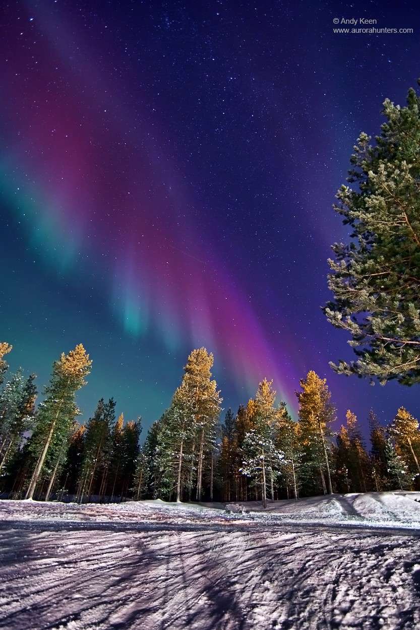 Image réalisée le 22 janvier par Andy Keen depuis le nord de la Finlande. © Aurorahunters.com