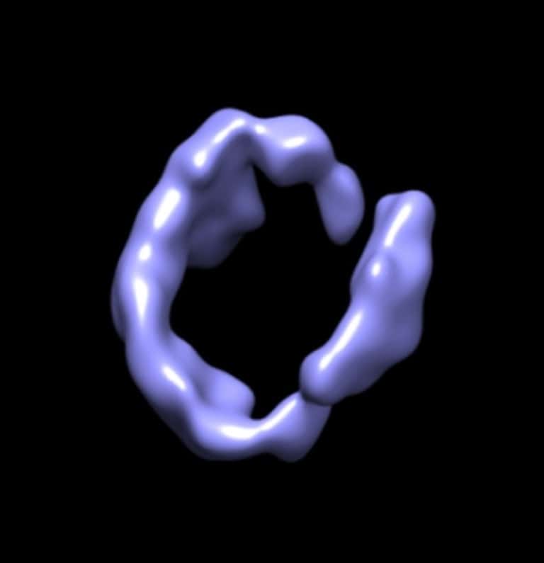 Une image de synthèse de la structure de l'apolipoprotéine A1 obtenue avec la technique Ipet (<em>I</em>ndividual-particle electron tomography)© <em>Lawrence Berkeley National Laboratory</em>