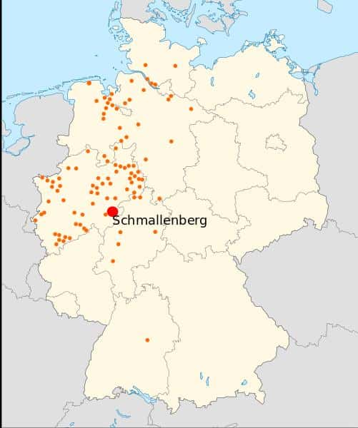 La carte fournie par le FLI indique la distribution du virus de Schmallenberg en Allemagne le 27 janvier 2012. La ville de Schmallenberg, en Rhénanie-du-Nord-Westphalie est un peu l'épicentre de l'épidémie. © Bodlina, Wikipédia, cc by sa 3.0