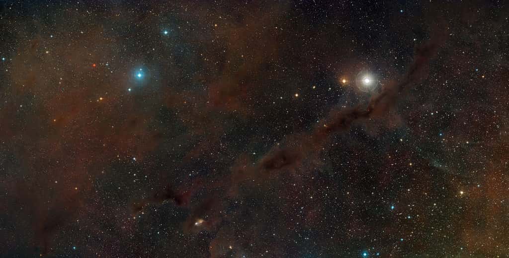 Le nuage moléculaire du Taureau se situe à 450 années-lumière de nous. © <em>Digitized Sky Survey 2</em>/Davide De Martin