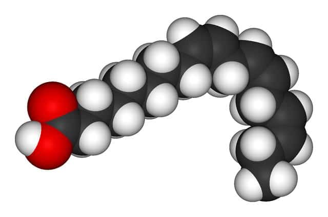 L'acide alpha-linolénique (ALA), dont on voit ici une représentation tridimensionnelle, est un oméga-3 avec pour formule chimique C<sub>18</sub>H<sub>30</sub>O<sub>2</sub>. On le trouve en grande quantité dans certaines huiles de graines végétales, comme le lin, le colza ou les noix. © Benjah-bmm27, Wikipédia, DP