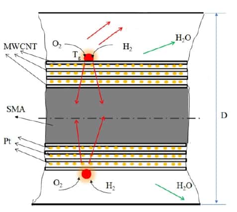 Structure d'une fibre contractile artificielle. La réaction exothermique entre l'oxygène (O<sub>2</sub>) et l'hydrogène (H<sub>2</sub>) a lieu à la surface des nanotubes faits de plusieurs couches de carbone (MWCNT). La chaleur produite, en rouge, est conduite vers le matériau à mémoire de forme (SMA). Des particules de platine (Pt) sont aussi enchâssées entre les différentes couches de carbone. Cette réaction chimique provoque l'apparition d'eau (H<sub>2</sub>O). © adapté de Tadesse <em>et al.</em> 2012, <em>Smart Materials and Structure</em>