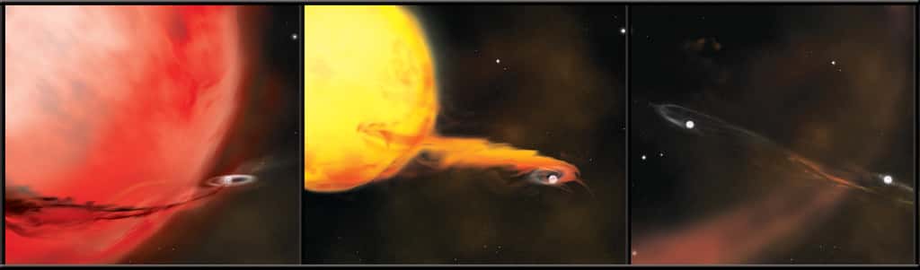 Trois modèles pour l'origine des SN Ia. À gauche, une géante rouge avec une naine blanche accrétant de la matière et à droite deux naines blanches formant un système binaire. Au milieu, une étoile de type solaire perdant elle aussi de la matière, arrachée par les forces de marée de son étoile compagne, une naine blanche. © Nasa/Swift/Aurore Simonnet, <em>Sonoma State Univ</em>.