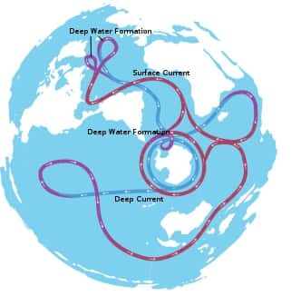 La circulation thermohaline dans le monde. Les traits bleus et rouges représentent respectivement les courants profonds d'eaux froides (<em>deep current</em>) et les courants chauds de surface (<em>surface current</em>). Les deux zones où l'eau froide plonge sont également indiquées (<em>deep water formation</em>). Elles se situent dans la mer de Wedell et dans l'océan Antarctique. © AVSA, <em>Wikimedia commons</em>, CC by-sa 3.0