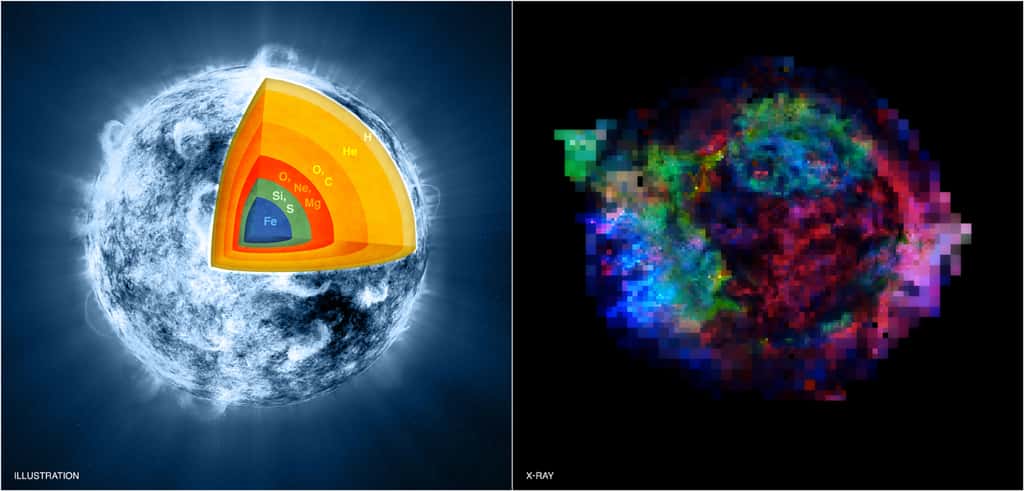 À gauche, un schéma de la composition chimique de l'étoile massive avec l'explosion ayant formé Cassiopée A. Sa structure en oignon montre que les atomes les plus lourds, le fer (Fe) et le silicium (Si), sont au centre de l'étoile, alors que l'hydrogène (H) et l'hélium (He) se trouvent à la surface. Sur la droite, les restes de la supernova à l'origine de Cassiopée A montrent une structure exactement inverse. On le voit grâce aux fausses couleurs associées aux noyaux présents dans les restes de la supernova et qui correspondent aux couleurs du schéma de gauche. © Nasa/CXC/M.Weiss ; X-ray : Nasa/CXC/GSFC/U. Hwang &amp; J. Laming