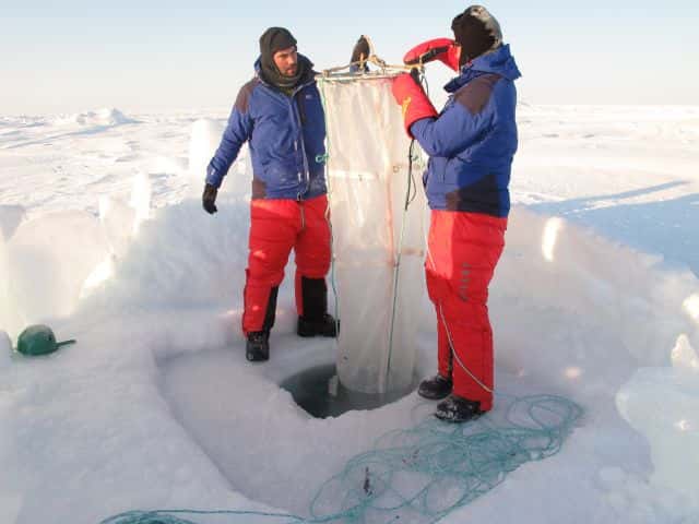 Par le trou de 1,60 m de profondeur, le grand filet à plancton va bientôt être descendu dans l'eau de l'océan Arctique jusqu'à 100 m de profondeur. Un travail à répéter trois fois. Il faudra ensuite descendre un filet, puis la bouteille de prélèvement d'eau, puis la sonde de mesure. © Pôle Nord 2012