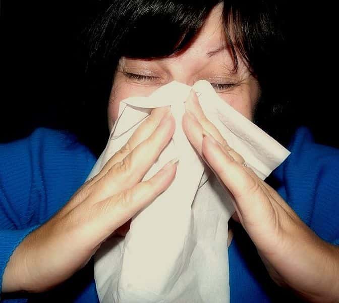 Les réactions allergiques engendrent tout un tas de symptômes, parmi lesquels le nez qui coule, la toux ou des irritations. Parfois, celles-ci peuvent être plus graves et mener à un œdème de Quincke, potentiellement mortel si non traité. © Mcfarlandmo, Wikimedia Commons, cc by 2.0