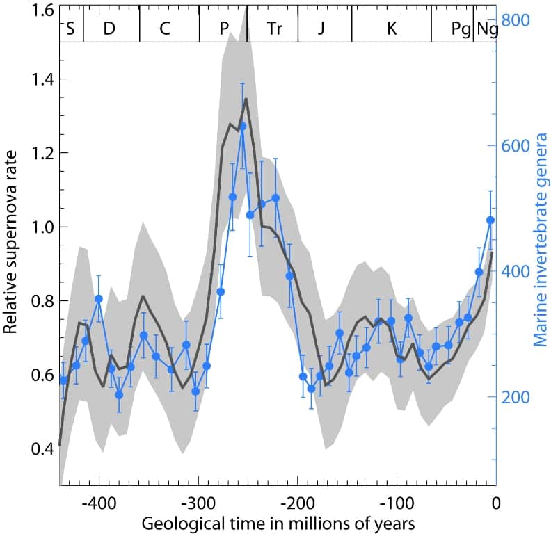 En bleu, le nombre de genres d'invertébrés marins sur Terre pendant les périodes géologiques comme le Permien (P), le Trias (Tr) et le Crétacé (K). En noir le taux de supernovae dans l'environnement proche du Soleil au cours de son périple galactique. La corrélation semble forte. © H. Svensmark/DTU Space