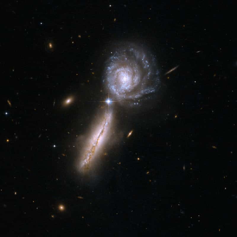 UGC 9618, également connu sous le nom VV 340 ou 302 Arp, se compose d'une paire de galaxies spirales très riches en gaz dans leurs premiers stades d'interaction : VV 340A est vue par la tranche à gauche, et VV 340B de face à la droite. UGC 9618 est à 450 millions d'années-lumière de la Terre. © Nasa, Esa, the Hubble Heritage (STScI/AURA)-Esa/Hubble Collaboration, A. Evans (University of Virginia, Charlottesville/NRAO/Stony Brook University)