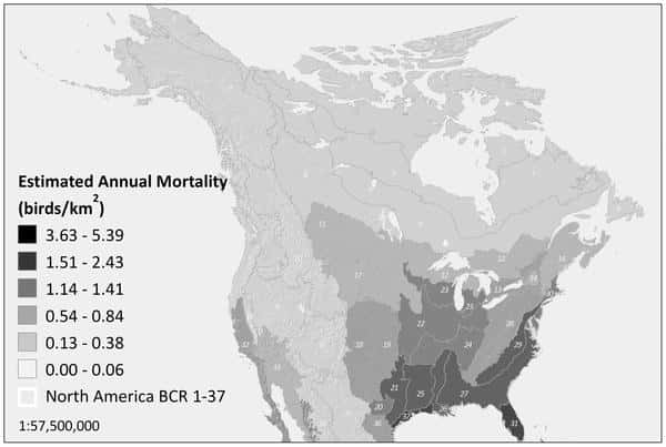 La mortalité annuelle estimée chez les oiseaux par les auteurs de l'étude pour cause de choc avec une tour portant des antennes radio, en oiseaux/km<sup>2</sup> (<em>birds/km<sup>2</sup></em>). On remarque un gradient est-ouest. © Longcore <em>et al.</em>/<em>Plos One</em>