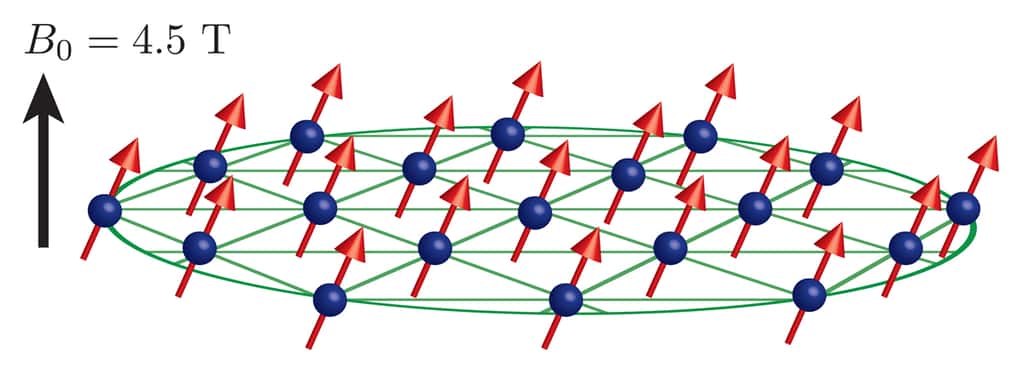 Un schéma montrant une partie des ions de béryllium (sphères bleues) piégés et plongés dans un champ magnétique de 4,5 teslas. Leur moment magnétique (flèches rouges) est orienté dans une même direction. © Britton/NIST