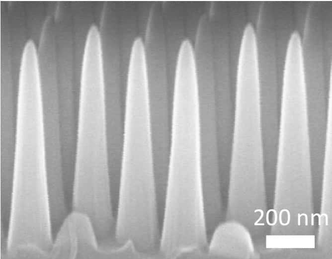 Vue microscopique de la surface nanotexturée élaborée par des chercheurs du MIT. Ces cônes sont obtenus par un procédé de gravure issu des techniques employées dans l’industrie des semi-conducteurs. © <em>Massachusetts Institute of Technology</em>