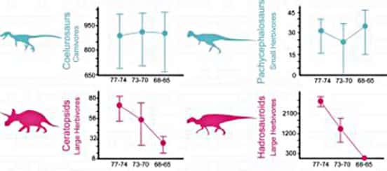 Ces quatre graphiques présentent la diversité de plusieurs grands groupes de dinosaures (cœlurosaures, pachycephalosaures, cératopidés et hadrosaures) durant les 12 derniers millions d’années du Crétacé supérieur. L’axe des abysses correspond à une échelle de temps de - 77 à - 65 millions d’années. L’axe des ordonnées représente de manière simplifiée la disparité morphologique. Les deux taxons d’herbivores, en rose (<em>ceratopids</em> et <em>hadrosauroids</em>), étaient très nettement dans une phase de déclin à long terme, à l’inverse des carnivores (<em>cœlurosaurs</em>) et petits herbivores (<em>pachycephalosaurs</em>), en bleu, qui se portaient bien. © S. Brusatte, AMNH