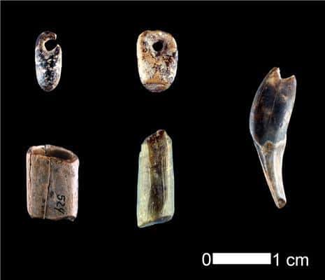 De très nombreux bijoux, tels que ces pendentifs, de la culture aurignacienne ont été trouvés dans la grotte de Gei&#946;enklösterl, à proximité des instruments de musique et des ossements ayant fait l'objet d'une datation à haute résolution. © University of Tubingen