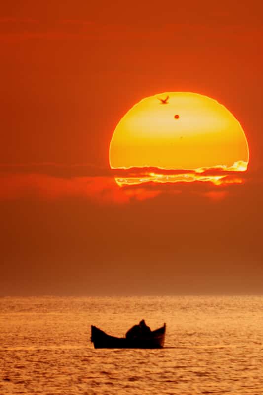 Instant de sérénité saisi en Roumanie avec le passage d'un oiseau devant le Soleil pendant le transit de Vénus. © Alex Cornu